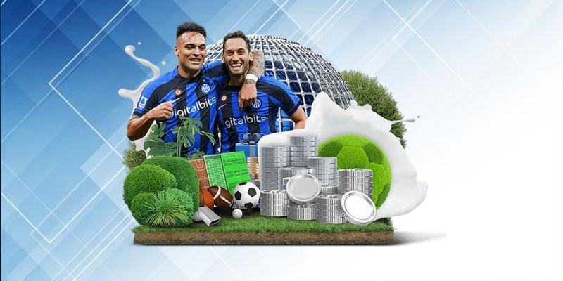 Hoạt động cá độ bóng đá dựa trên tỷ lệ kèo